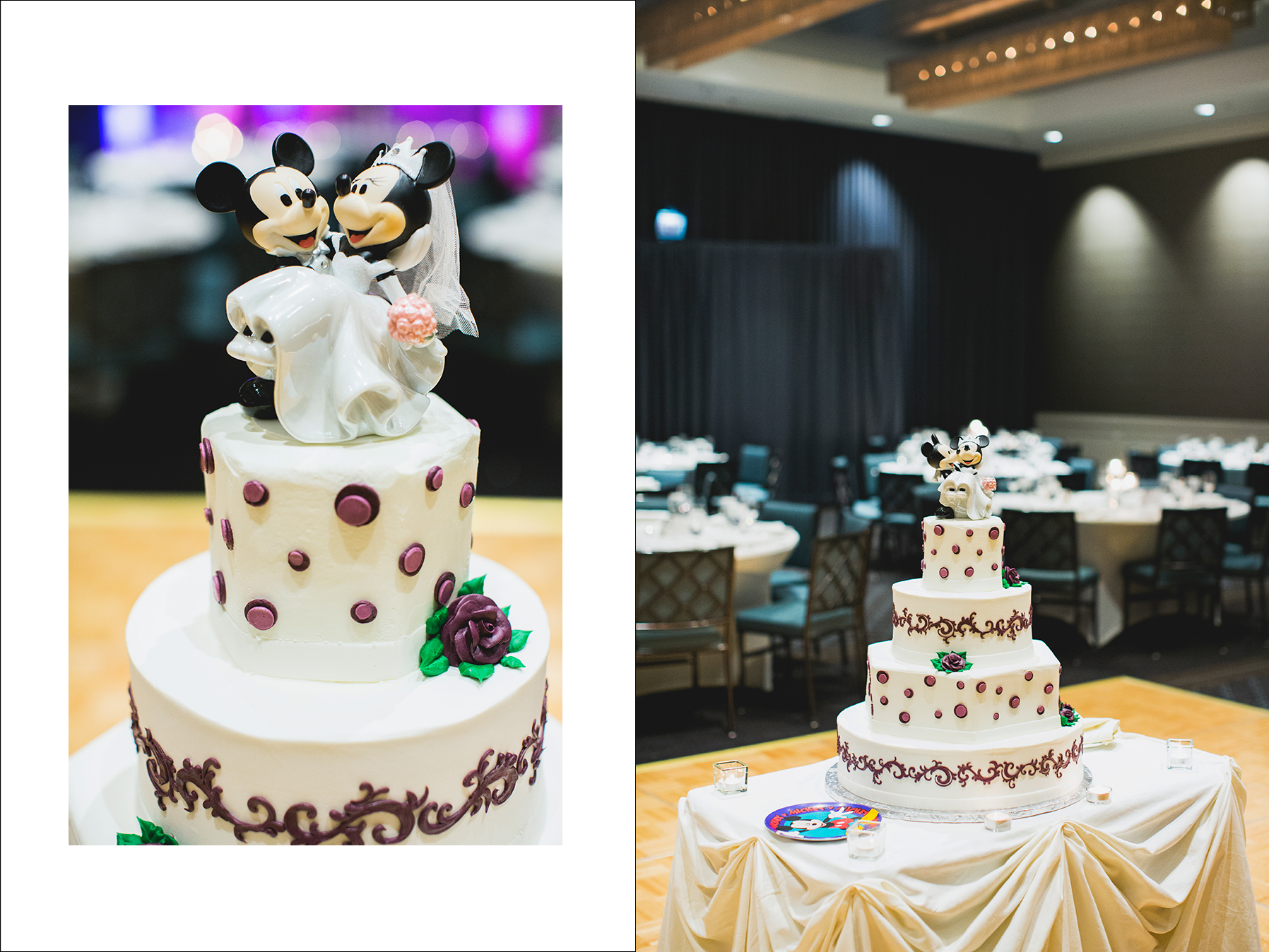 Disa&Amil_naperville_grashanti_fine_art_wedding-1102
