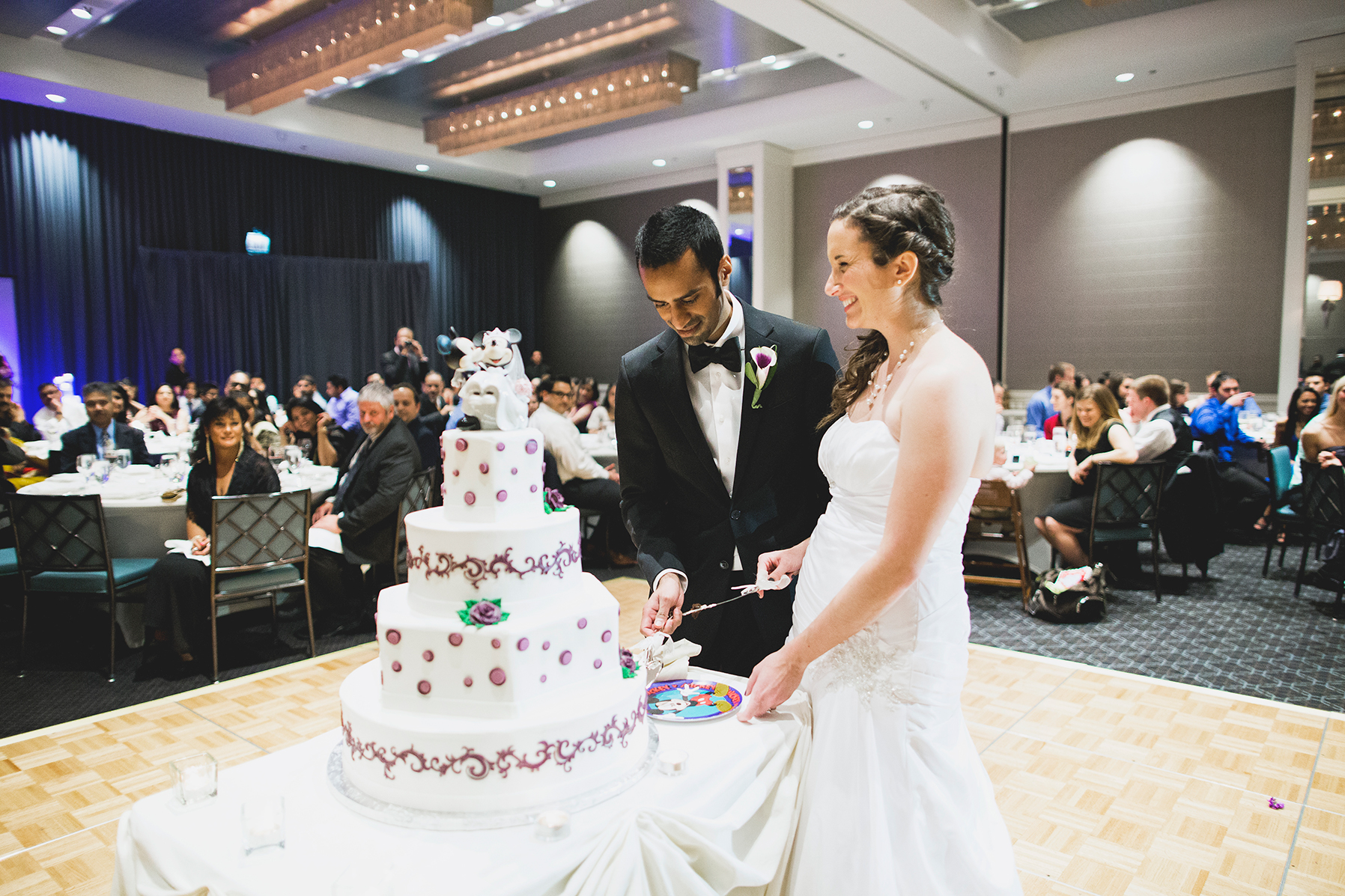 Disa&Amil_naperville_grashanti_fine_art_wedding-1112