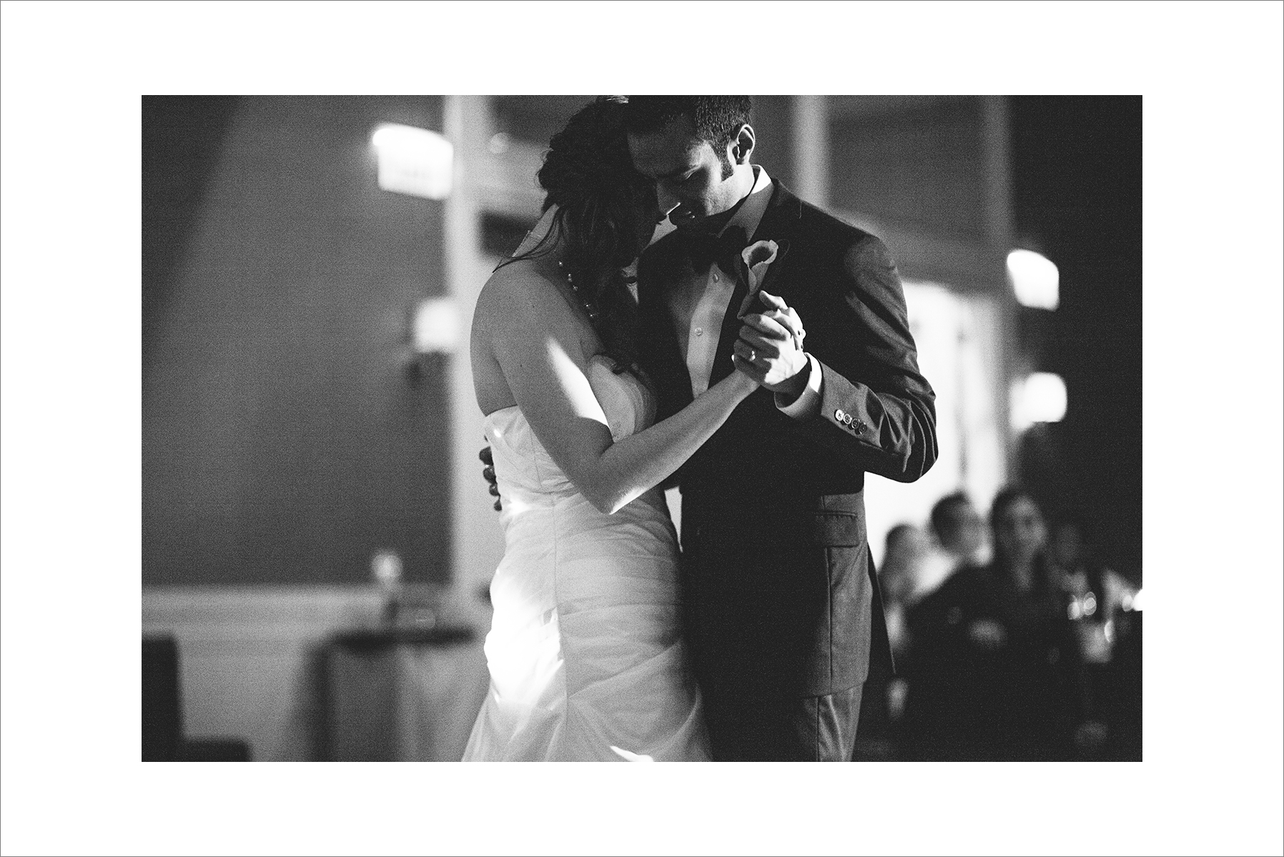 Disa&Amil_naperville_grashanti_fine_art_wedding-1115