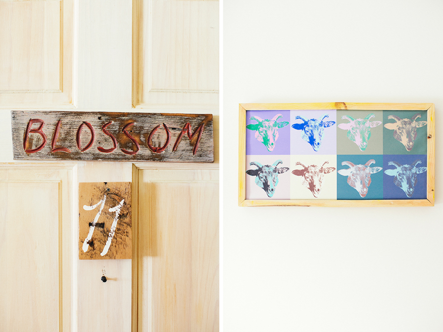 amee_farms_riverside_farms_pittsfield_VA -1047