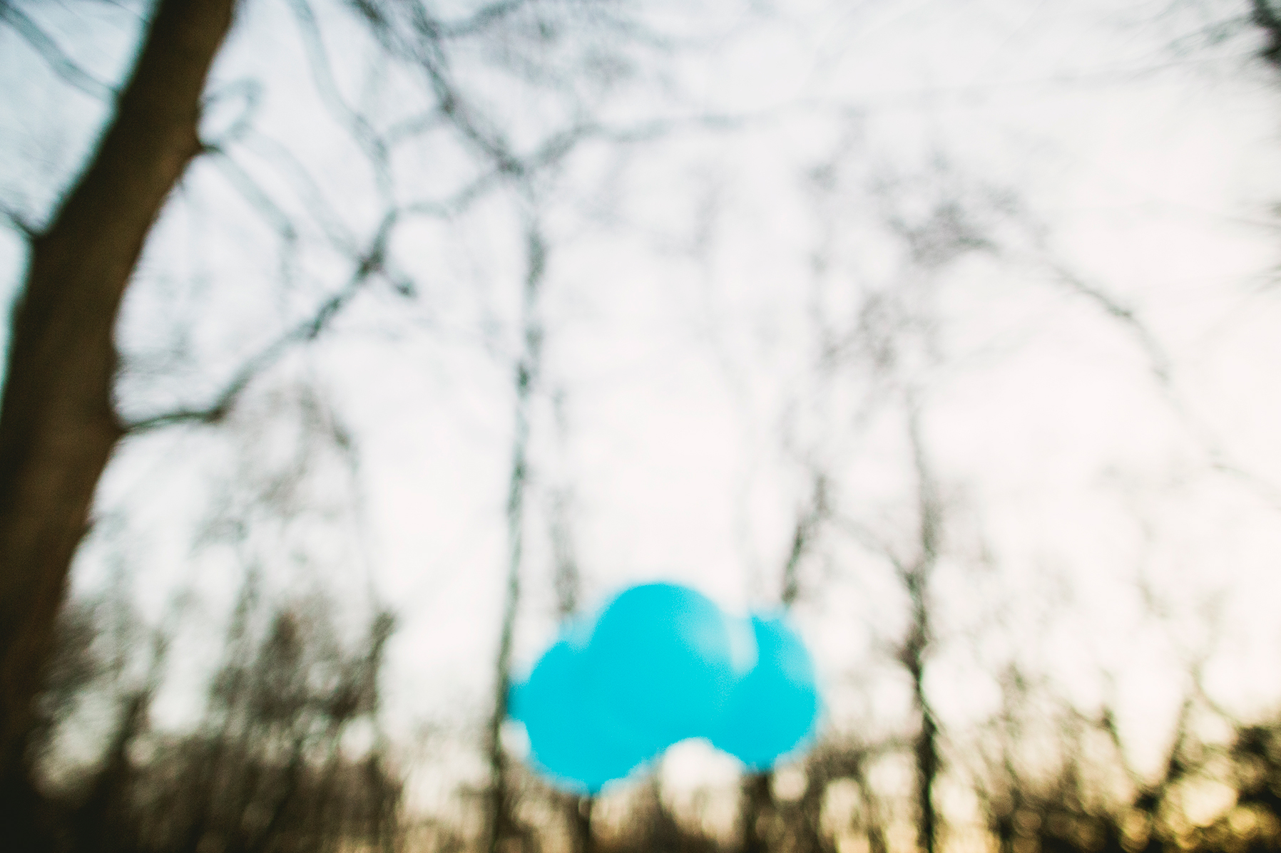 jessica&alex_lacuna_loft_oak_park_esession-1036