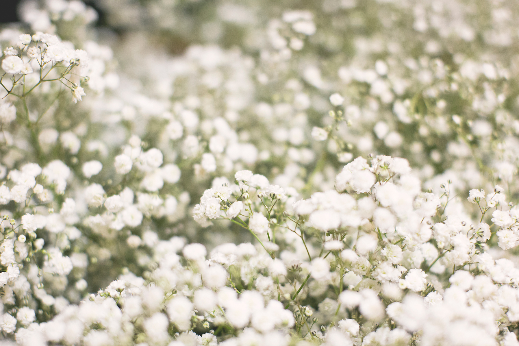 kathleen&caleb_dallas_wedding-1017