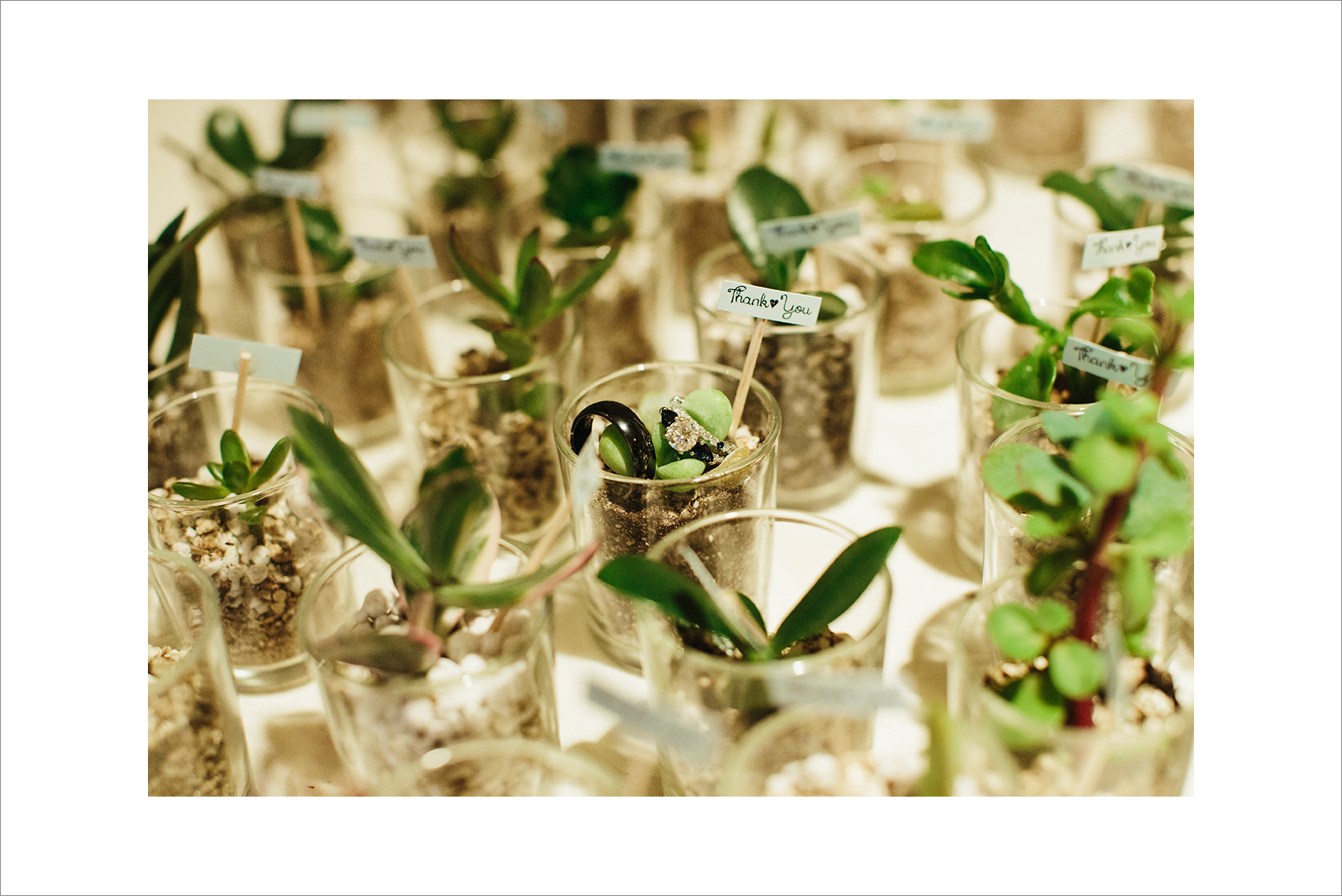 Jeni&Vic_bolingbrook_golf_club_wedding-1129