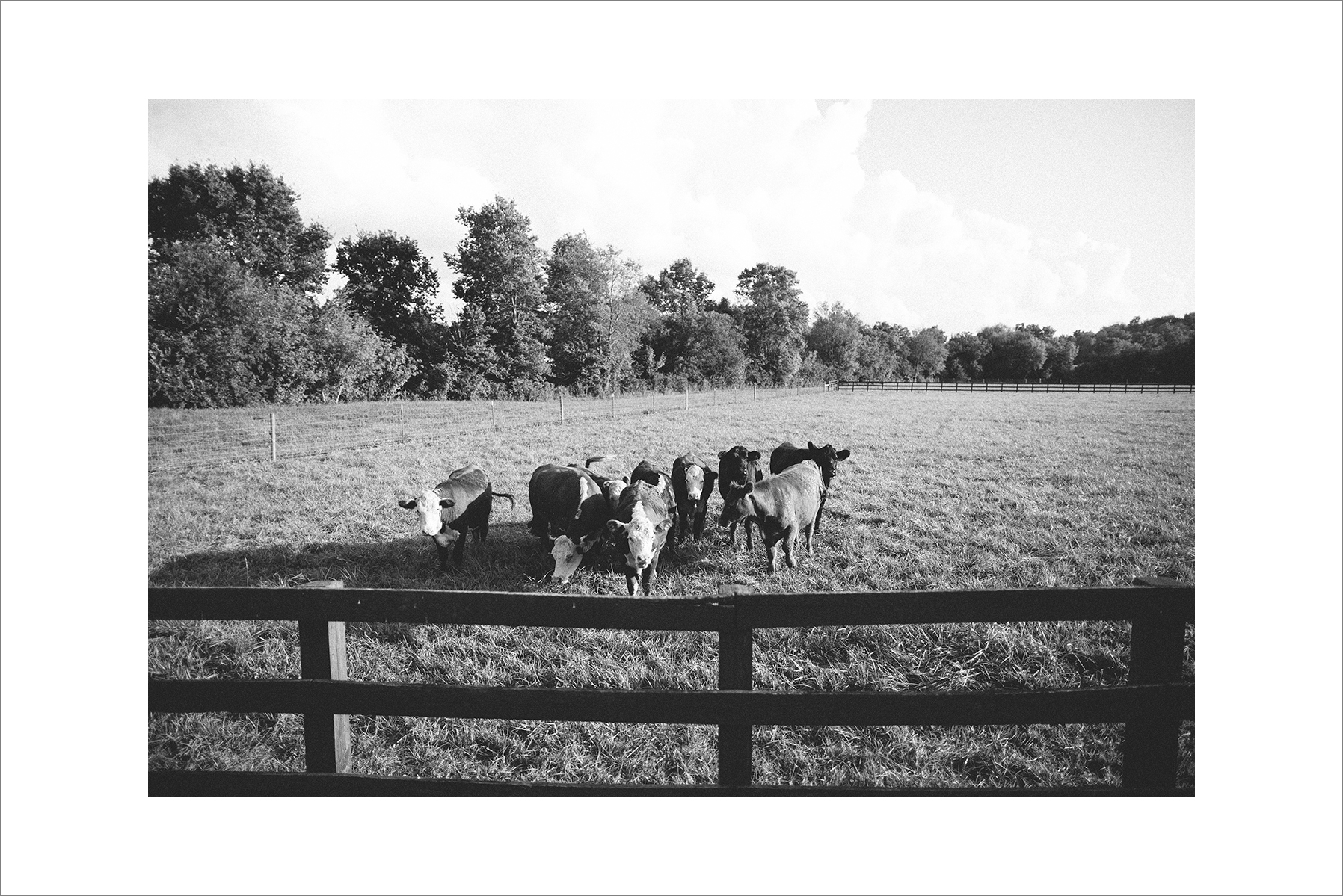 Angela&Paul_Indianapolis_Wedding-1103