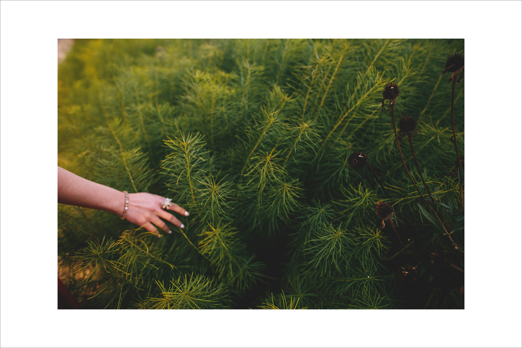 Jenna&Jason_chicago_engagement-1046