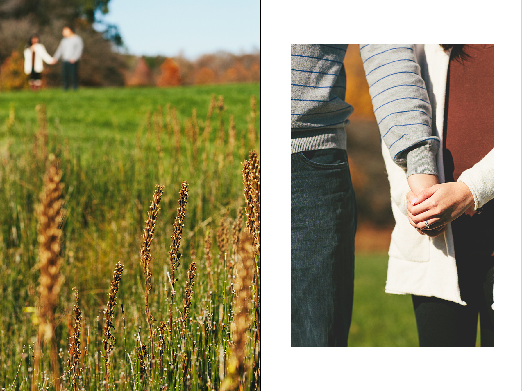 Allie&Tom_UIUC_Engagement-1004