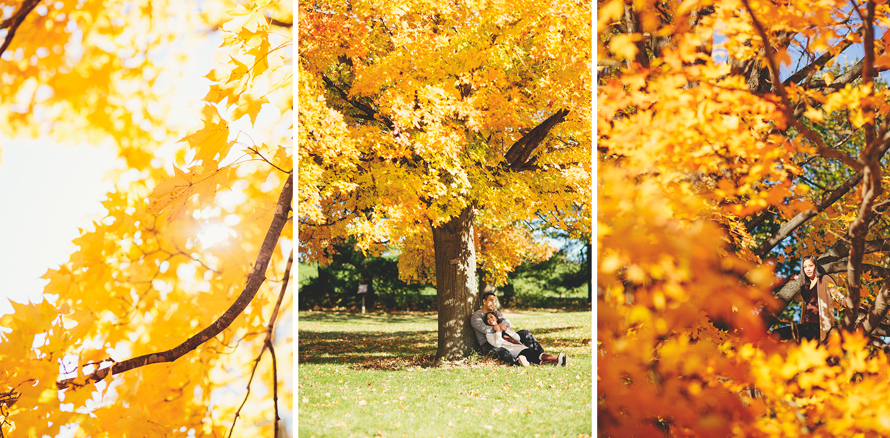Allie&Tom_UIUC_Engagement-1008