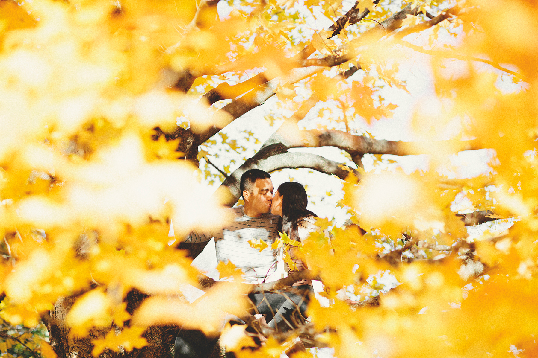 Allie&Tom_UIUC_Engagement-1011