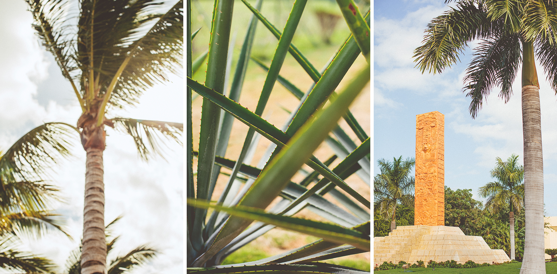 jenn&dwight_barcelo_playa_del_carmen_wedding-1001