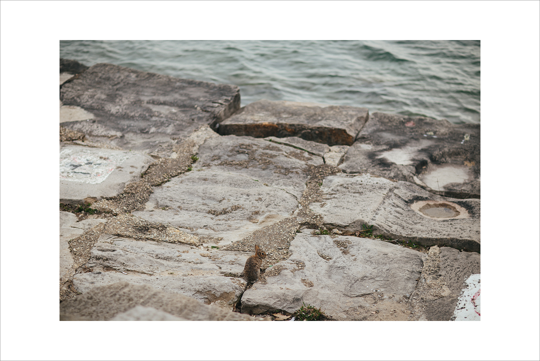 suejean&henny_engagement_session-1031