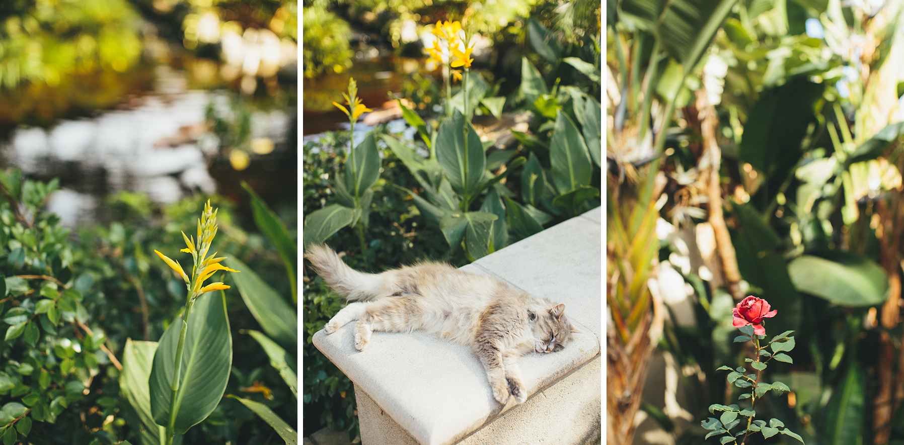 joy&jay_south_pasadena_CA_estate_wedding-1001