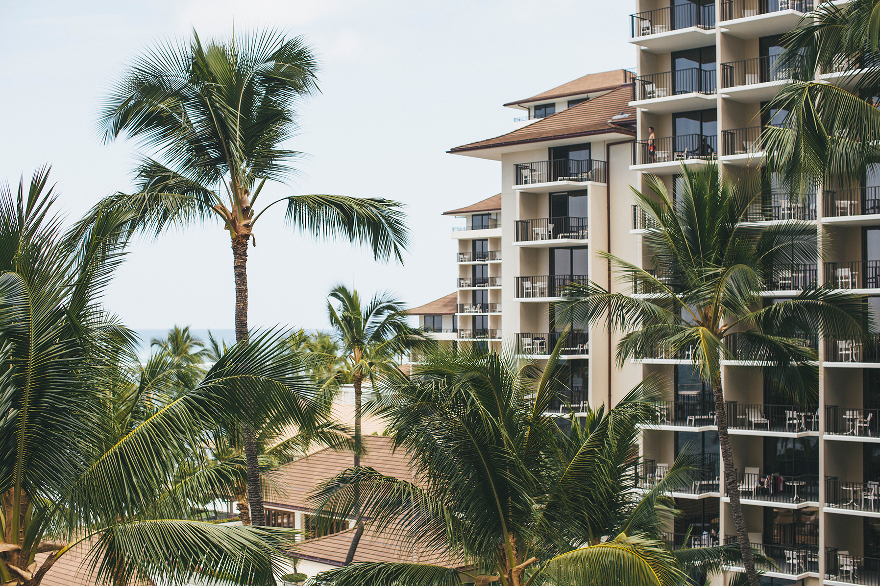 carol&yejun_destination_wedding_hawaii-1018
