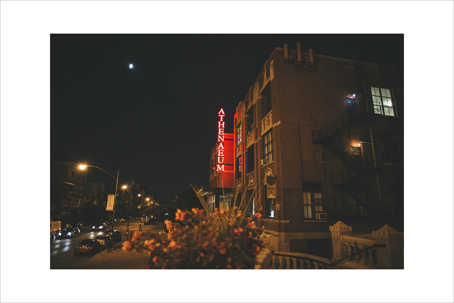 camelia&josh_engagement-1055