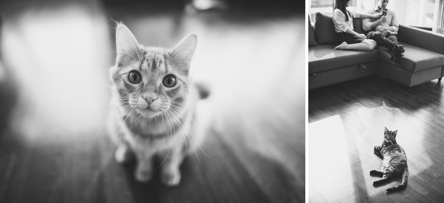 alexia&jonathan_engagement-1028