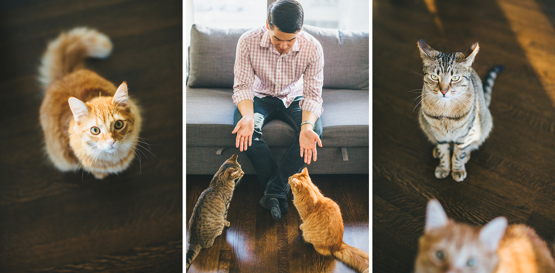 alexia&jonathan_engagement-1030