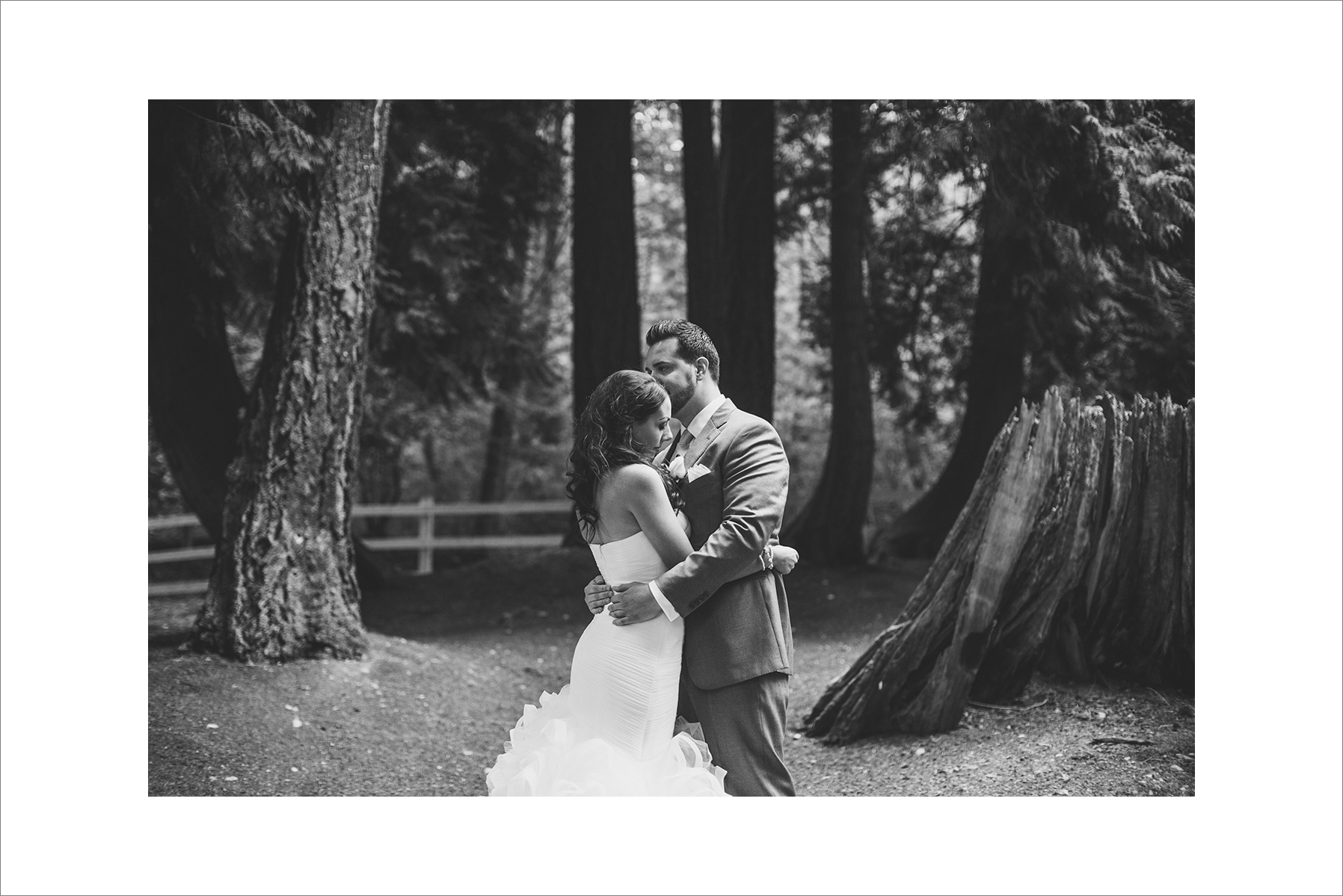 danielle&rob_delille_cellars_wedding-1032