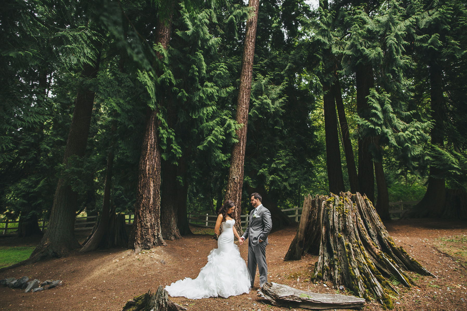 danielle&rob_delille_cellars_wedding-1033