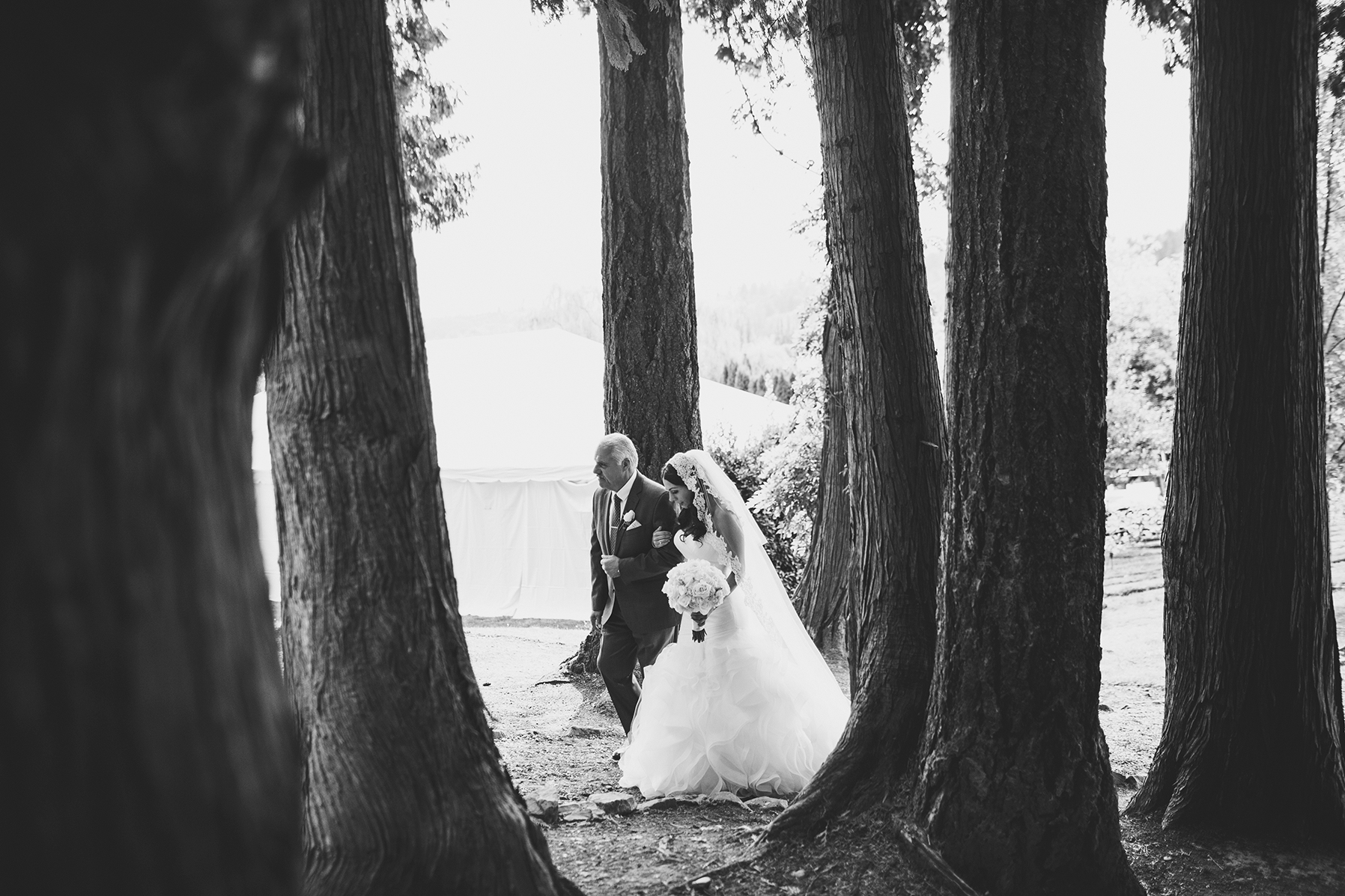 danielle&rob_delille_cellars_wedding-1066