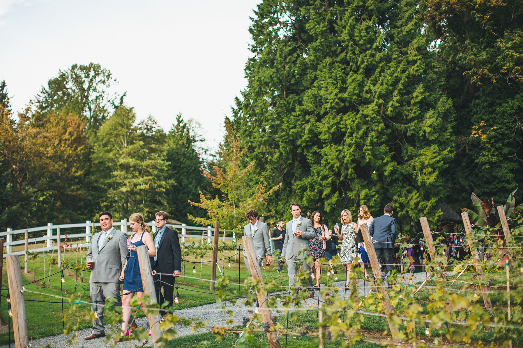 danielle&rob_delille_cellars_wedding-1103