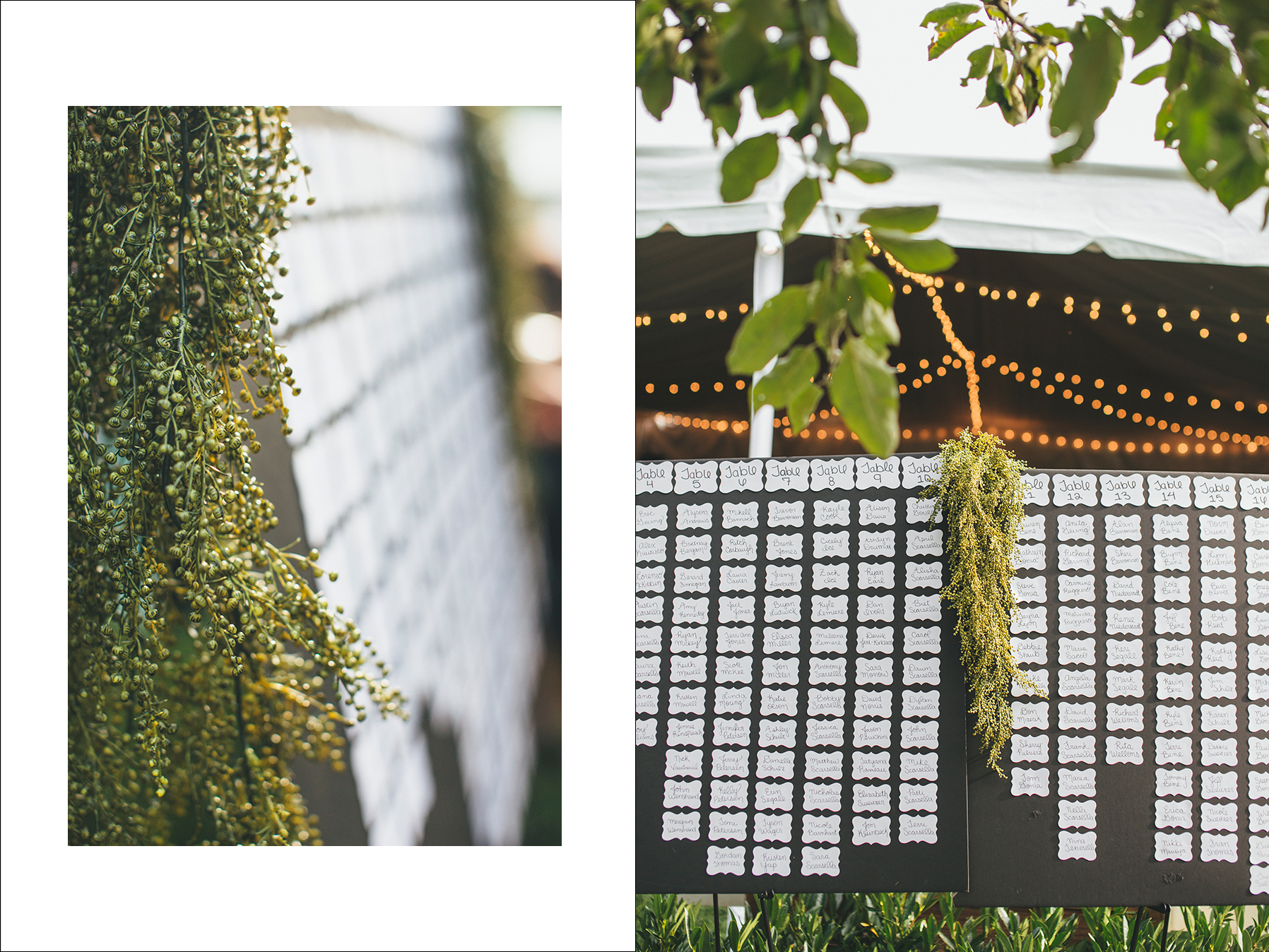 danielle&rob_delille_cellars_wedding-1106