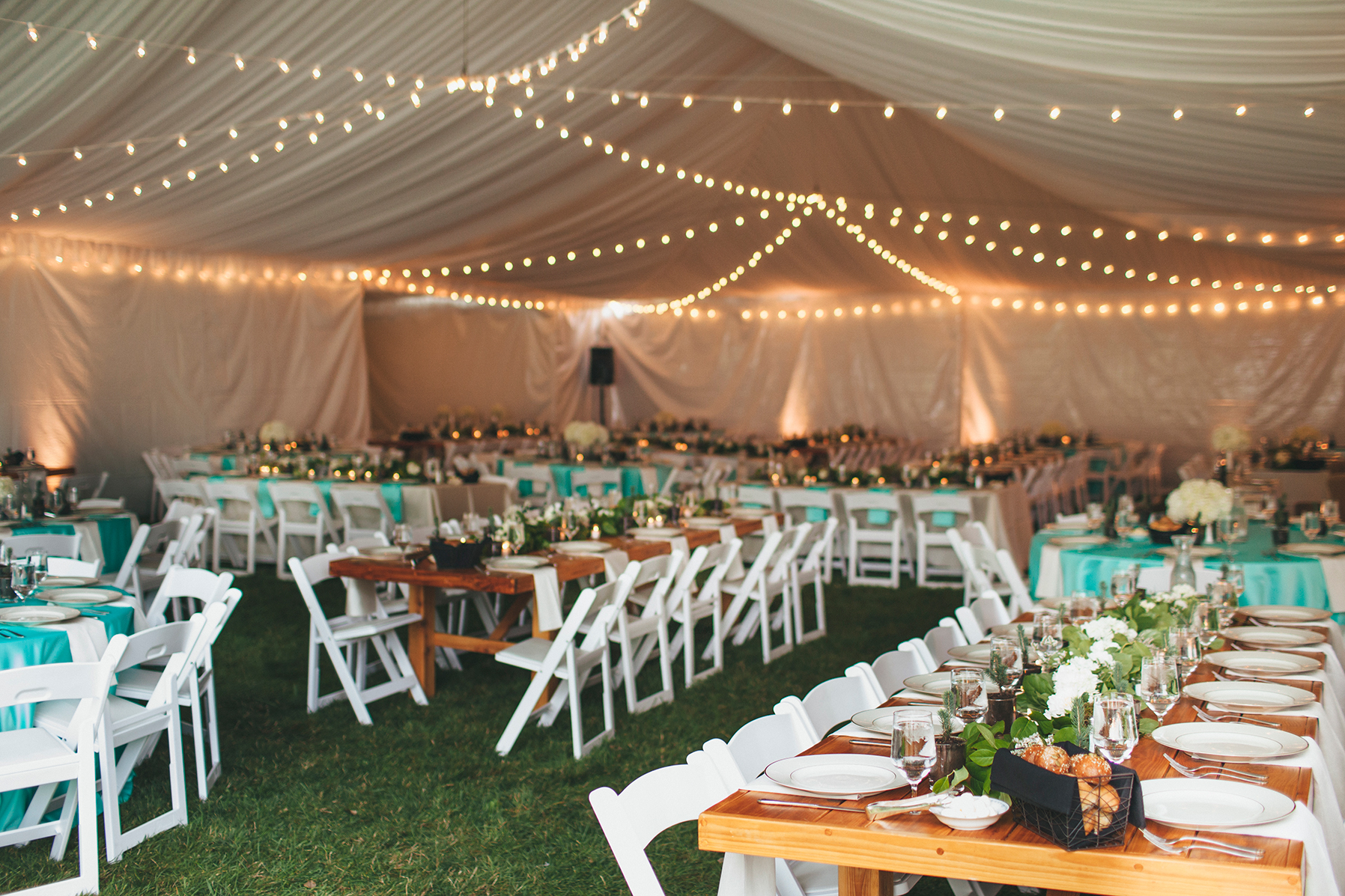 danielle&rob_delille_cellars_wedding-1108