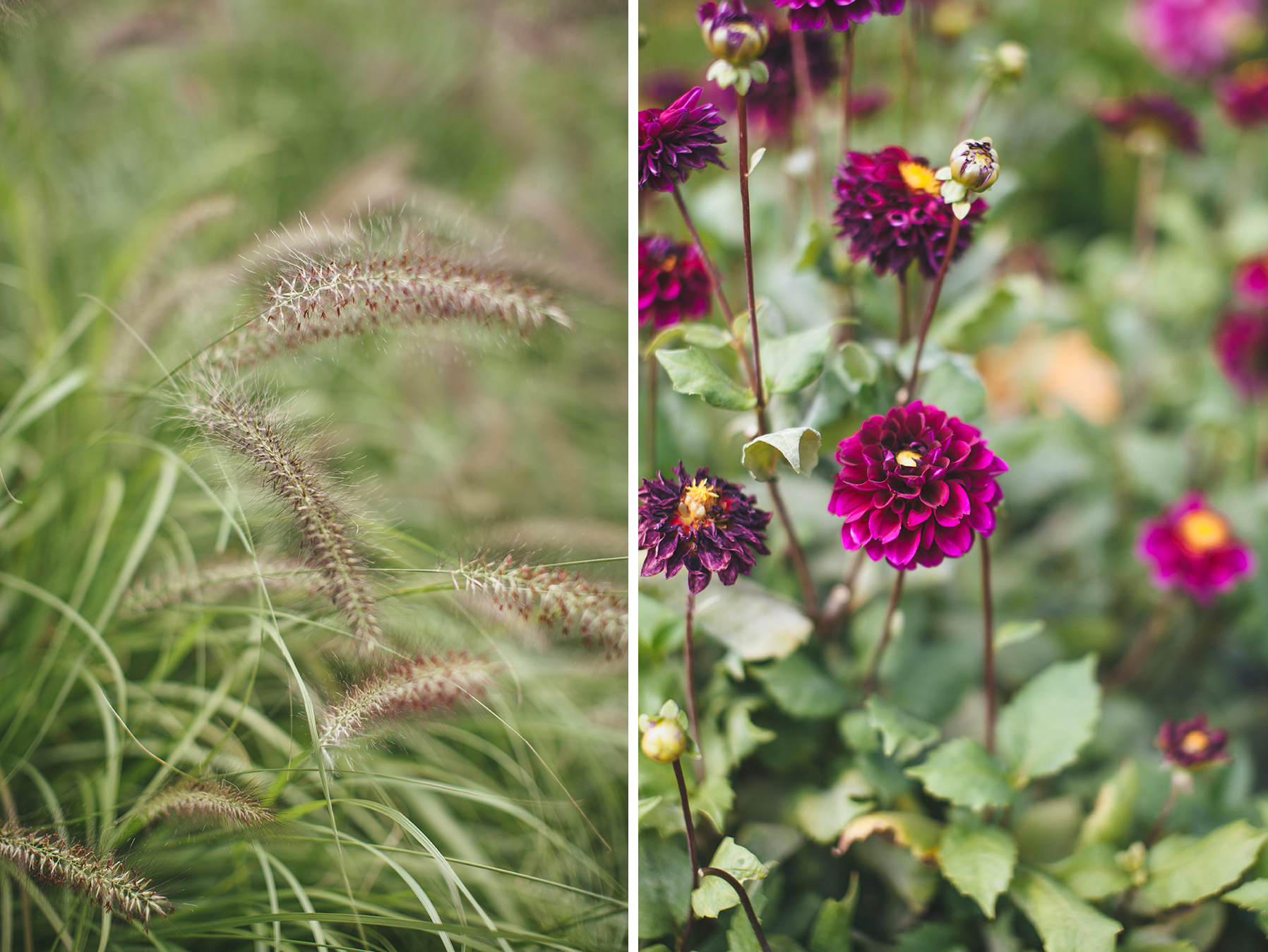 naly&will_wedding-1041