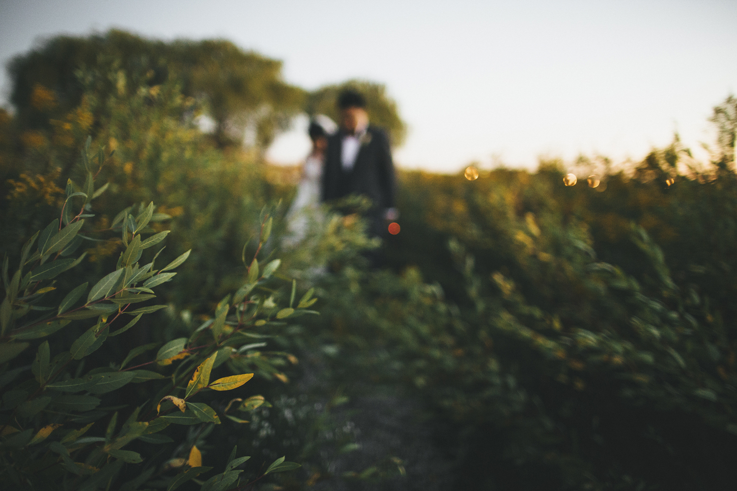 terry&paul_glenclub_wedding_blog-1115