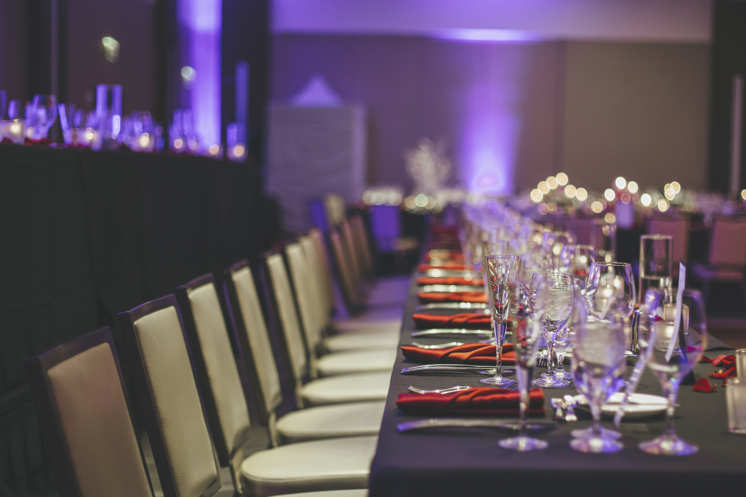 MARYLOU&JOSHUA_LOEWS_CHICAGO_ST_HYACINTH-1138