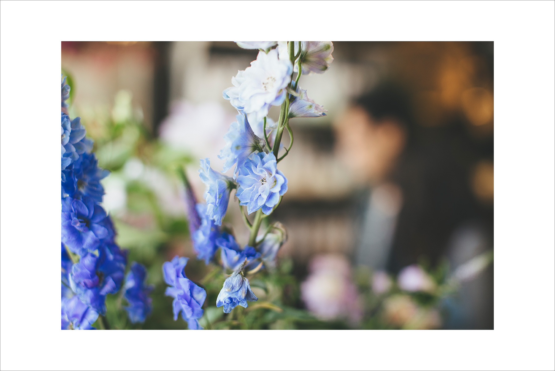 kirsten&david_e-1001