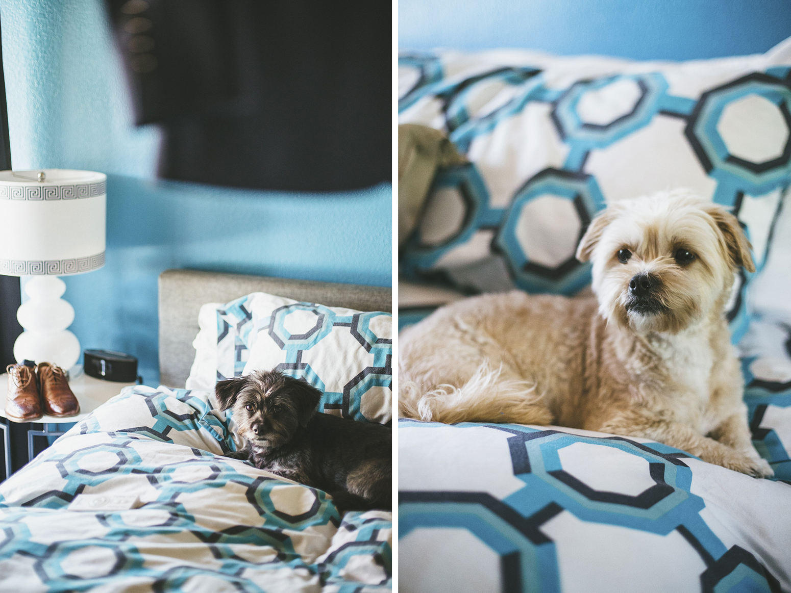 laila&desto_serendipity_garden_palm_springs_wedding_blog-1009