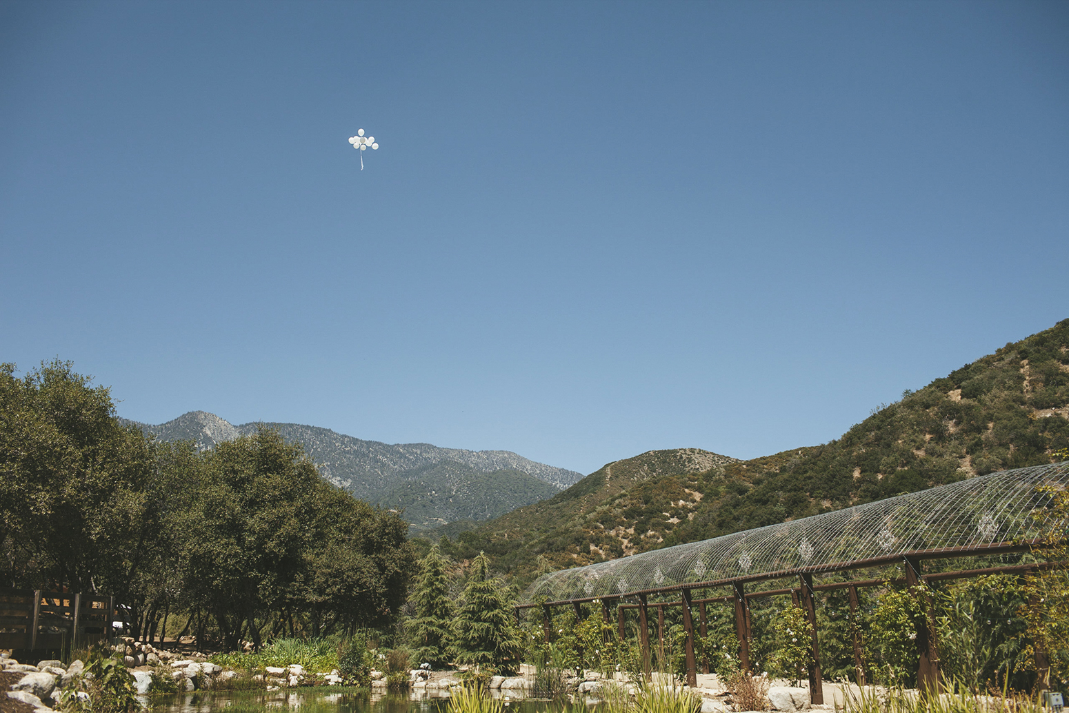 laila&desto_serendipity_garden_palm_springs_wedding_blog-1057