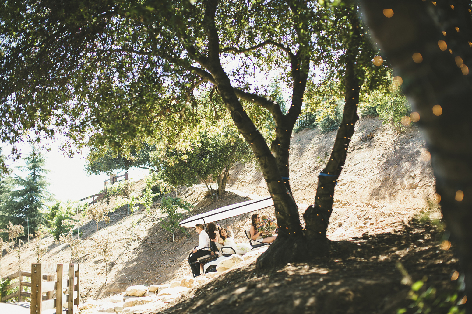 laila&desto_serendipity_garden_palm_springs_wedding_blog-1079