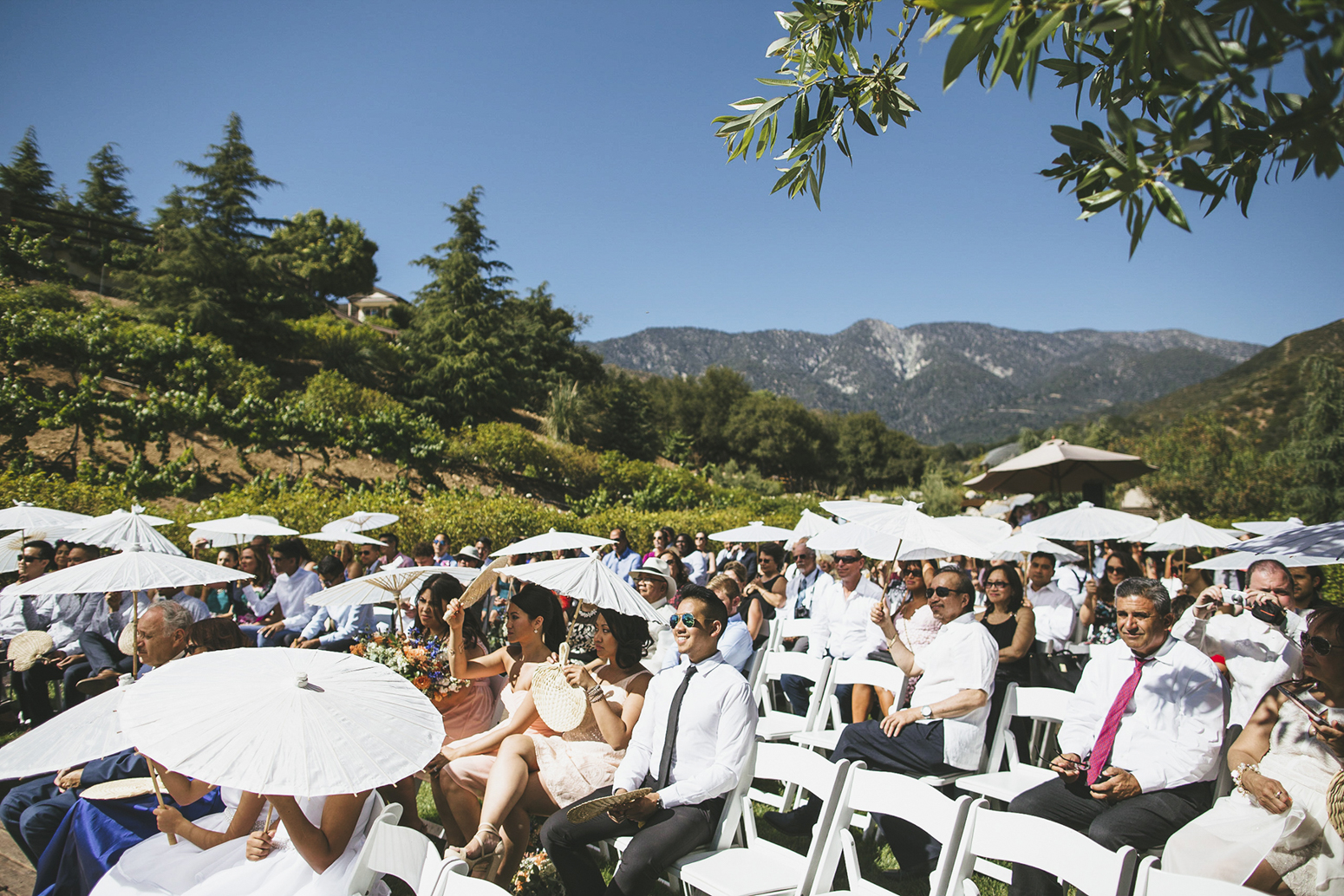 laila&desto_serendipity_garden_palm_springs_wedding_blog-1095