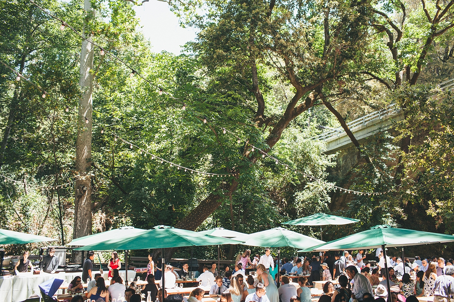 jenjustin_saratogas_prings_wedding-1069