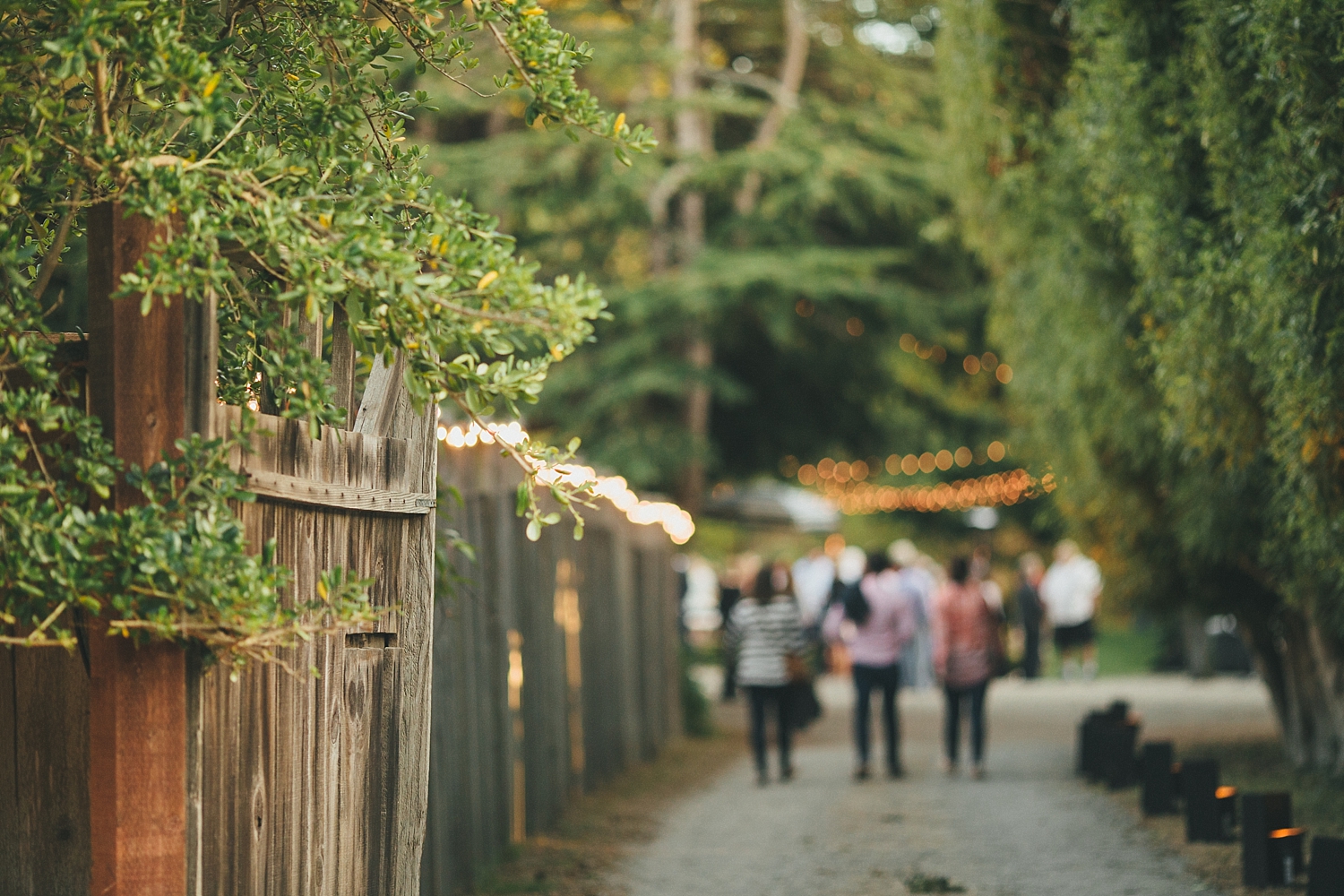 annabrian_wedding_day2-1001