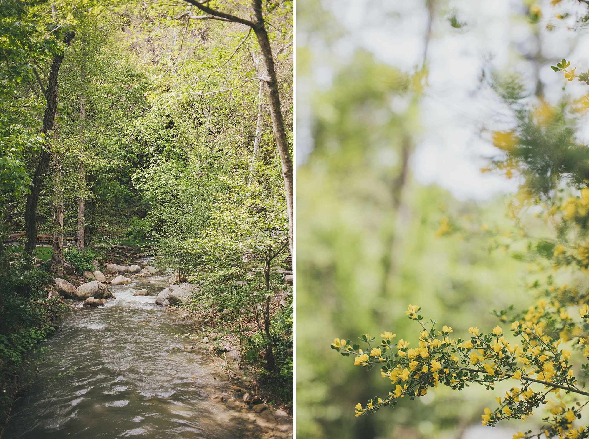 valerie&walter_saratoga_springs_wedding-1001
