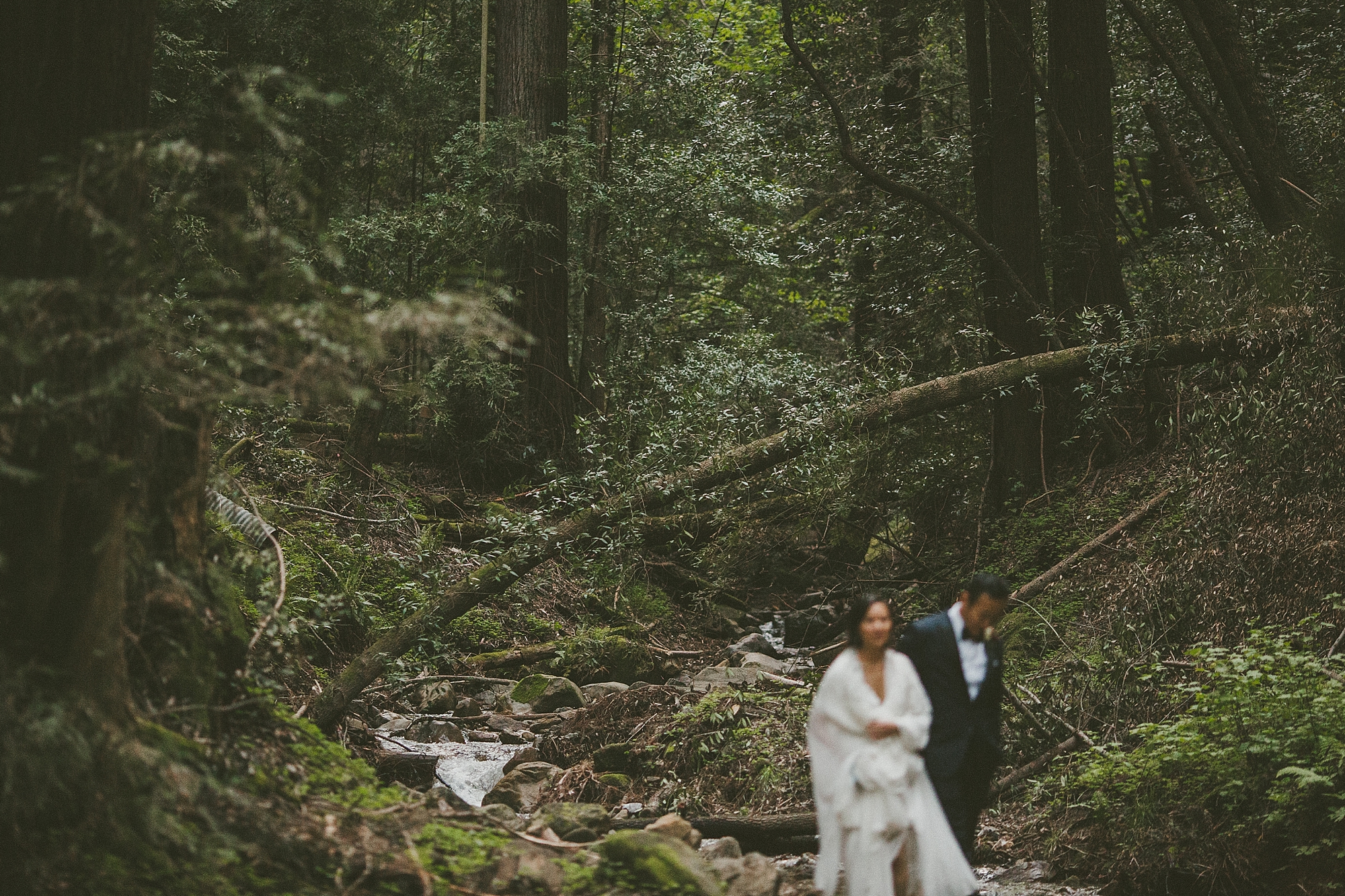 valerie&walter_saratoga_springs_wedding-1113