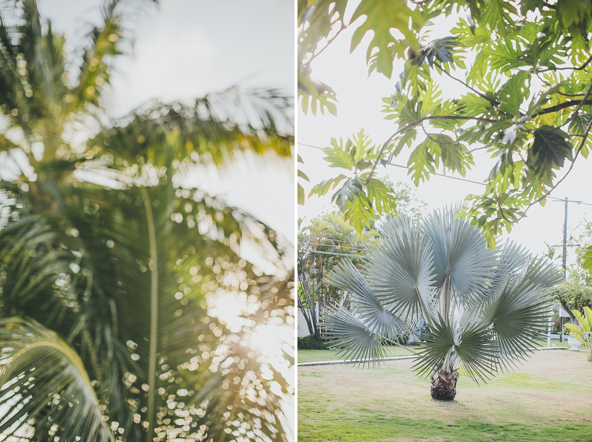 joslyn&brandon_jamaica_inn_wedding-1002