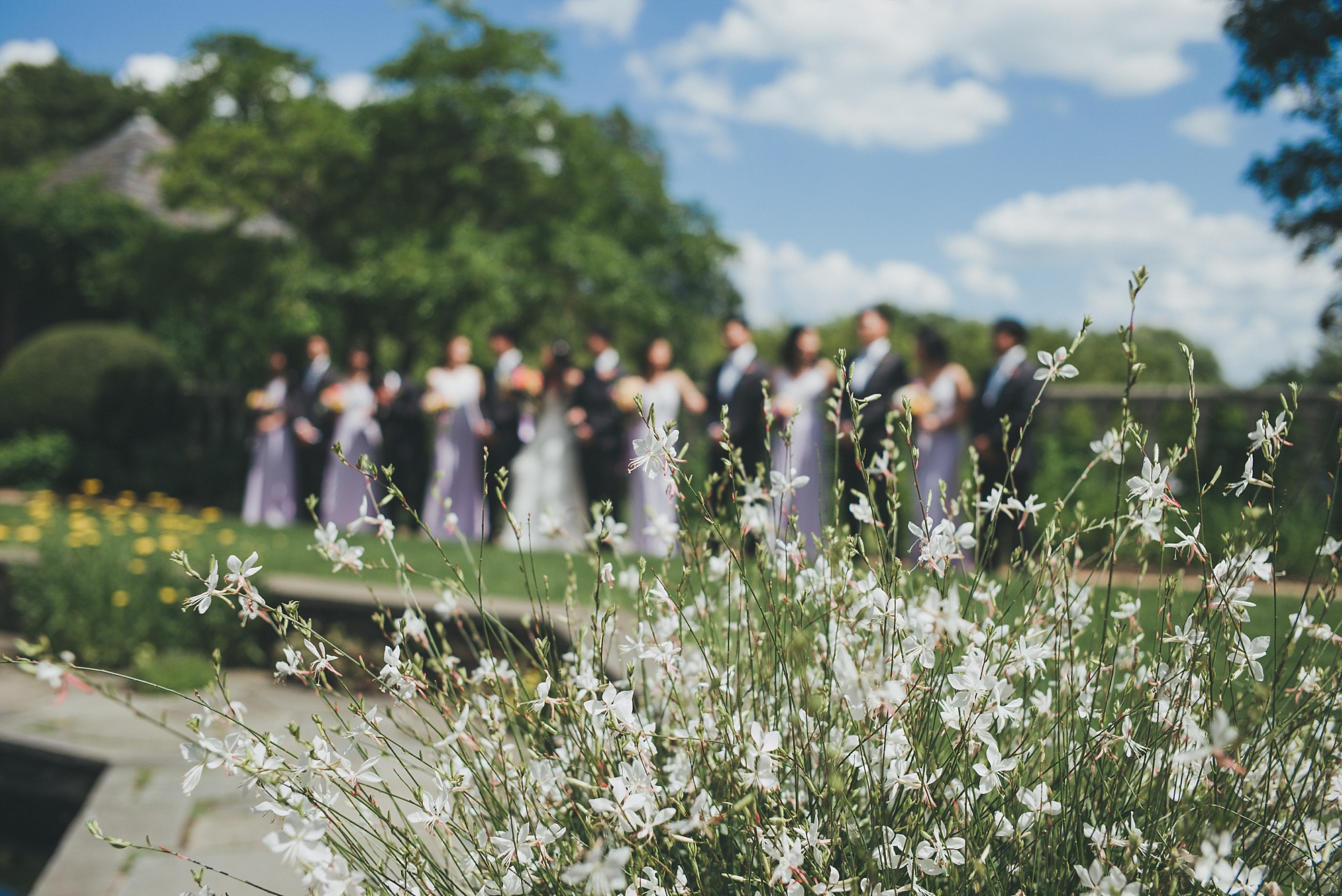 jeanette&david_chicago_botanic_gardens_wedding_blog-1027