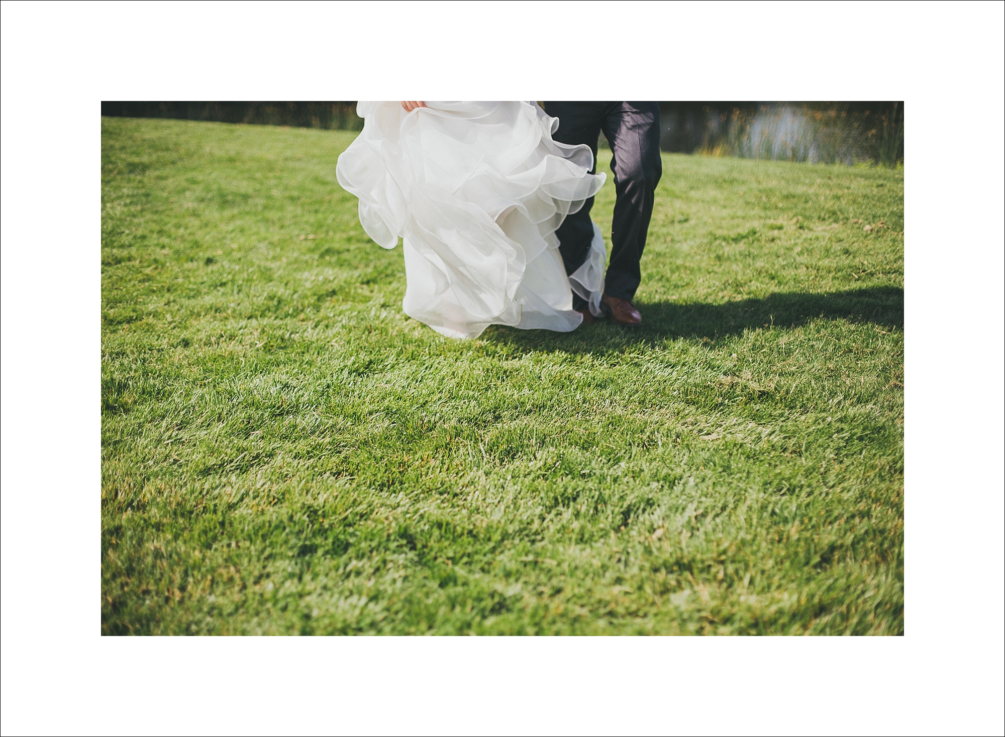jeanette&david_chicago_botanic_gardens_wedding_blog-1052