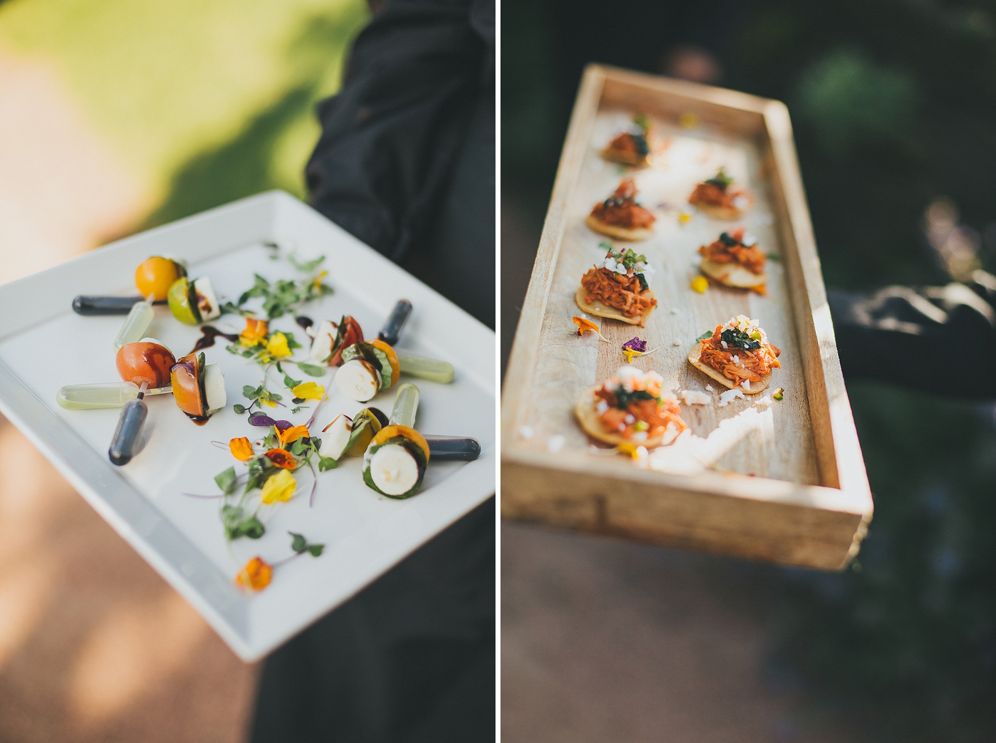 jeanette&david_chicago_botanic_gardens_wedding_blog-1110