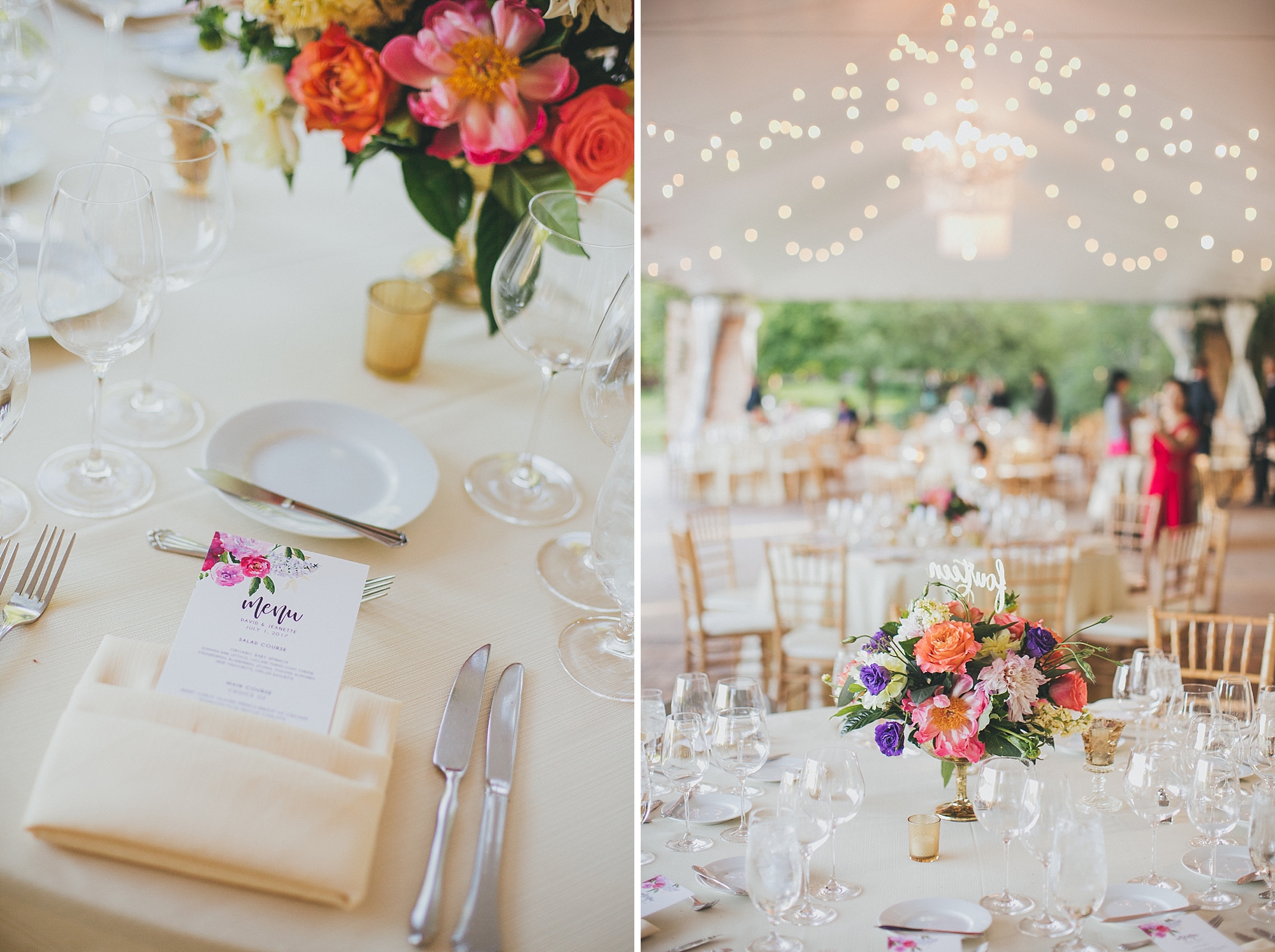 jeanette&david_chicago_botanic_gardens_wedding_blog-1115