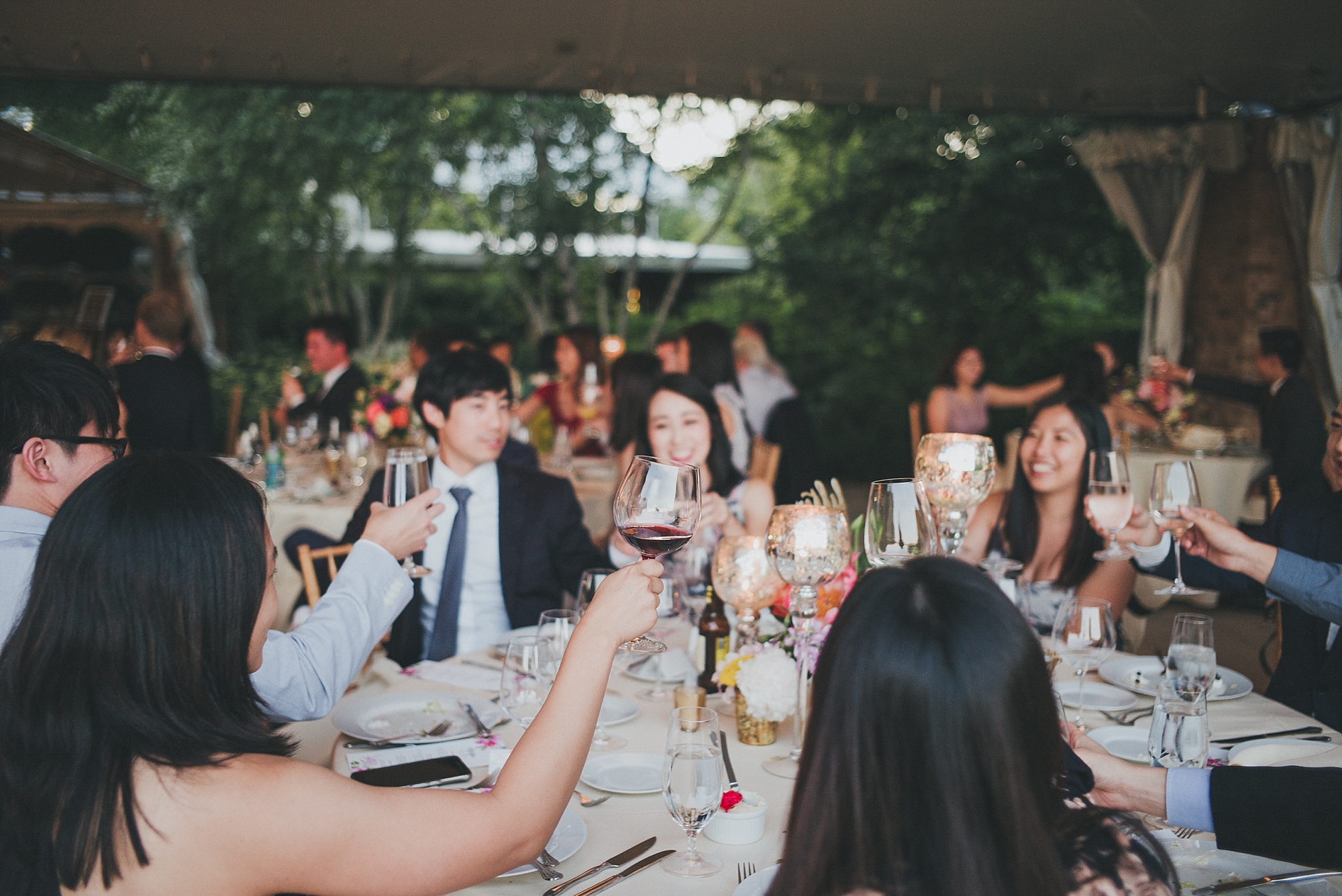 jeanette&david_chicago_botanic_gardens_wedding_blog-1133