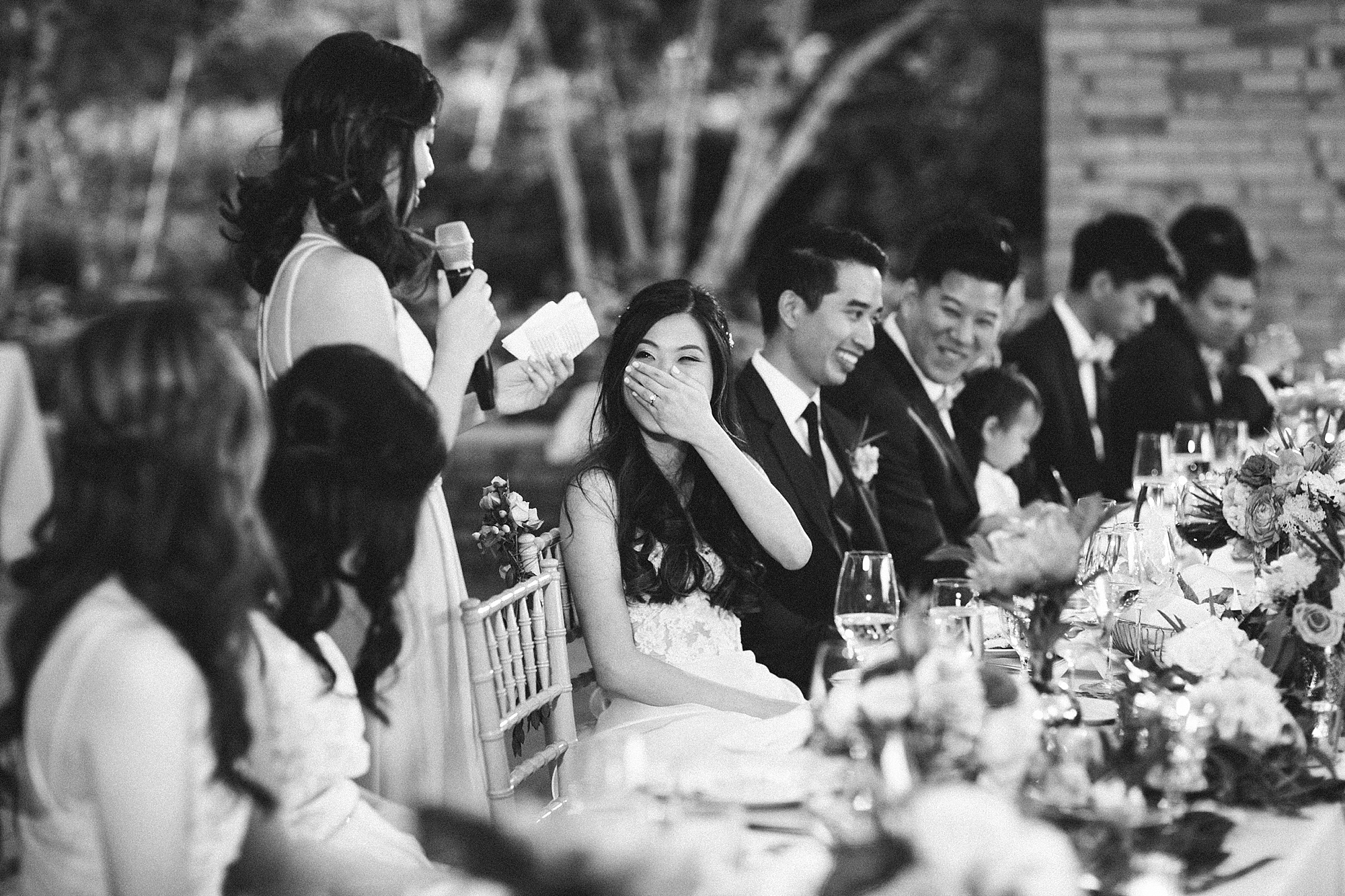 jeanette&david_chicago_botanic_gardens_wedding_blog-1135