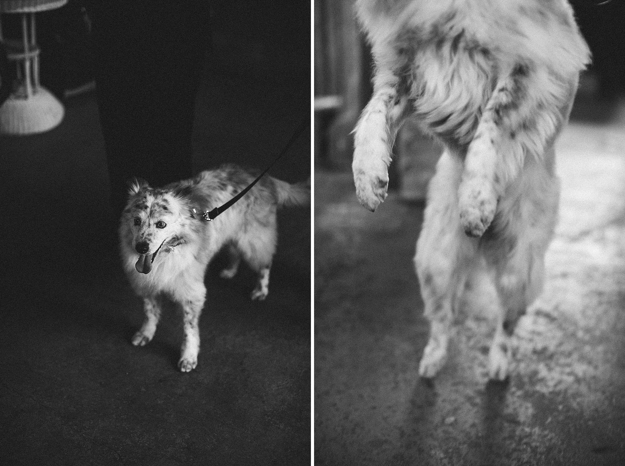 lizette&juancarlos_wedding_feat_blog-1026