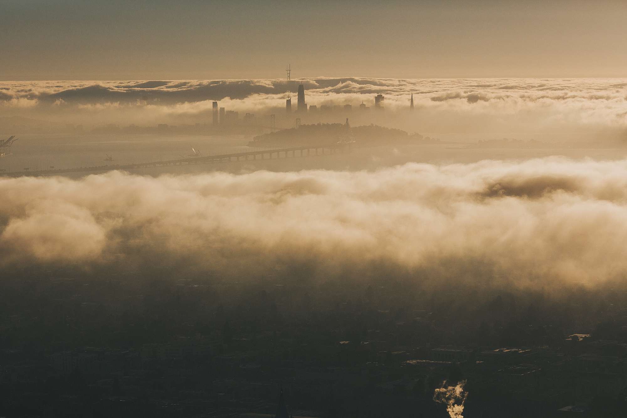 theresa&hemant_lawrence_hall_of_sciences_wedding_feature-1107