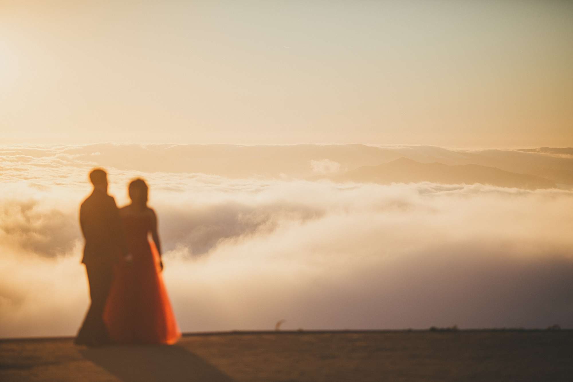 theresa&hemant_lawrence_hall_of_sciences_wedding_feature-1116