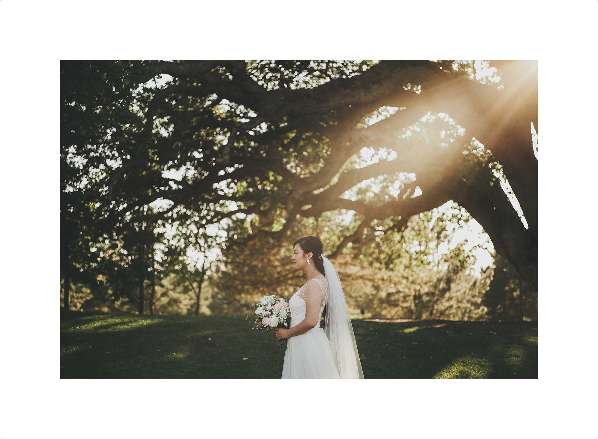 tina&patrick_wedding_feat-1078